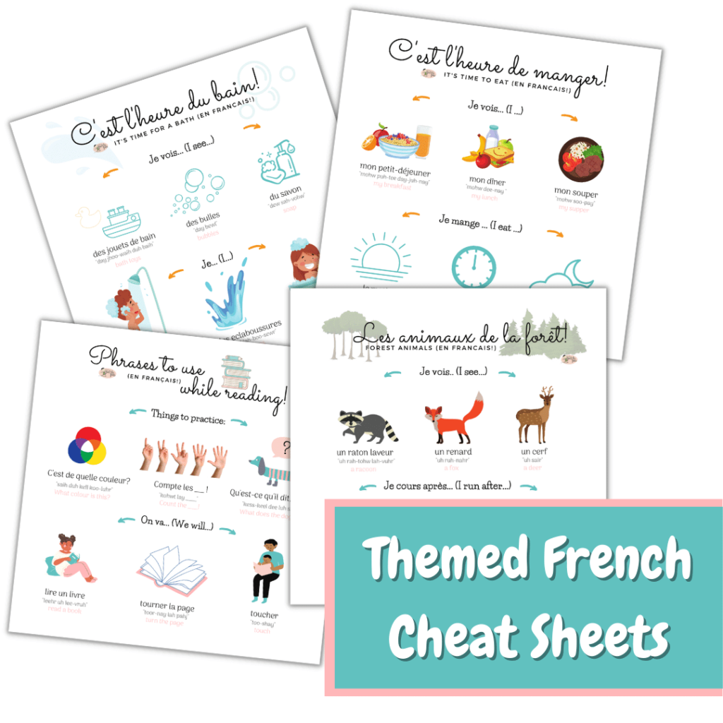Themed French cheat sheet examples