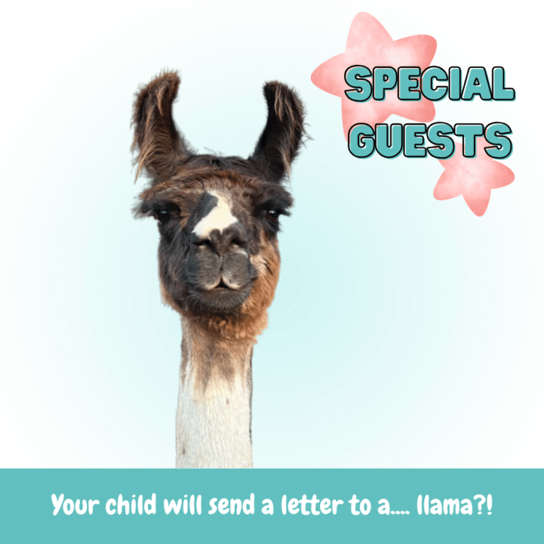 Special Guest Llama for French at home program